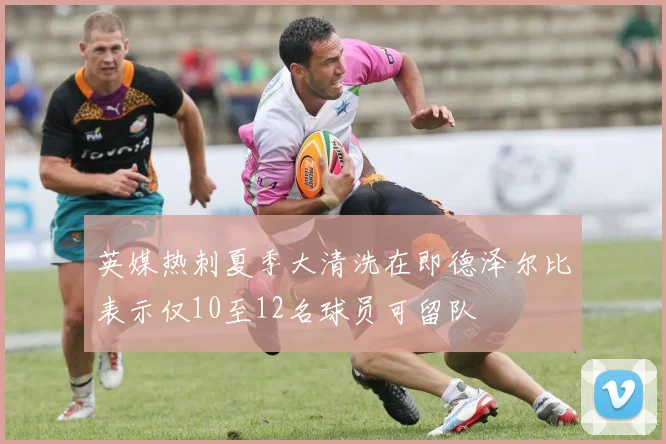 英媒热刺夏季大清洗在即德泽尔比表示仅10至12名球员可留队